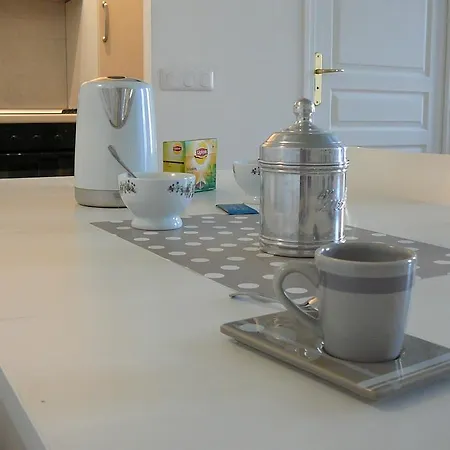 2 Bedrooms In Central Location On The Famous Place Massena Apartmán Nice